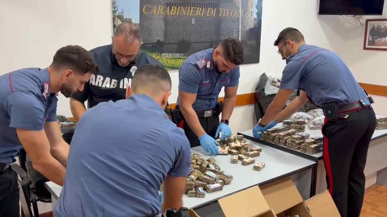 i 540 chili di hashish sequestrati dai carabinieri
