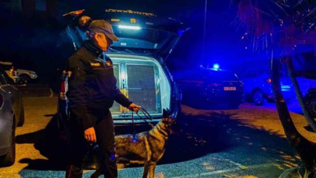 Ostia, unità cinofie dei Carabinieri
