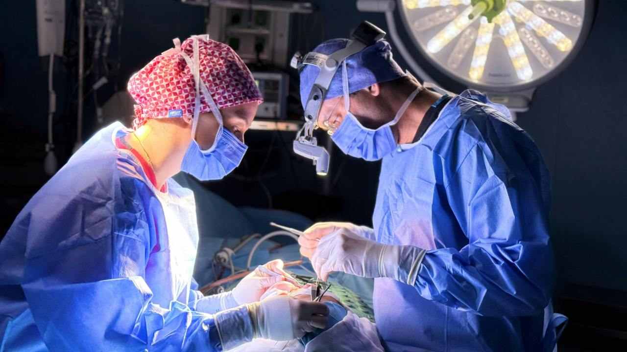 Chirurghi, pexels, zeynep, ozata