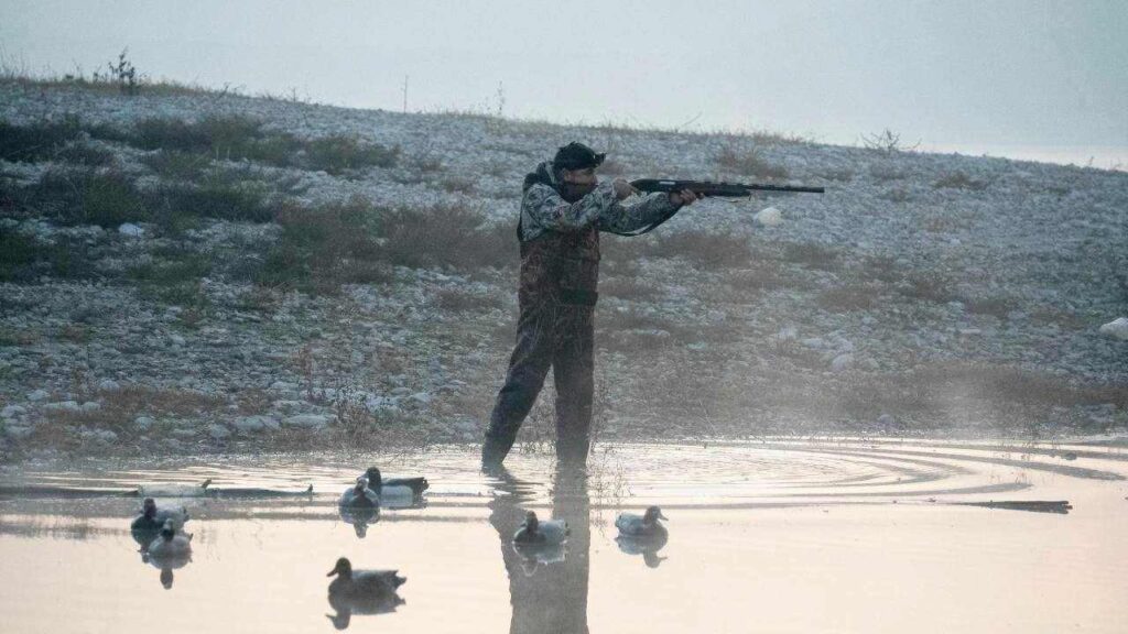 Cacciatore, pexels izzet cakalli