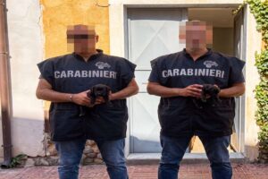 Carabinieri, due cuccioli pitbull sequestrati